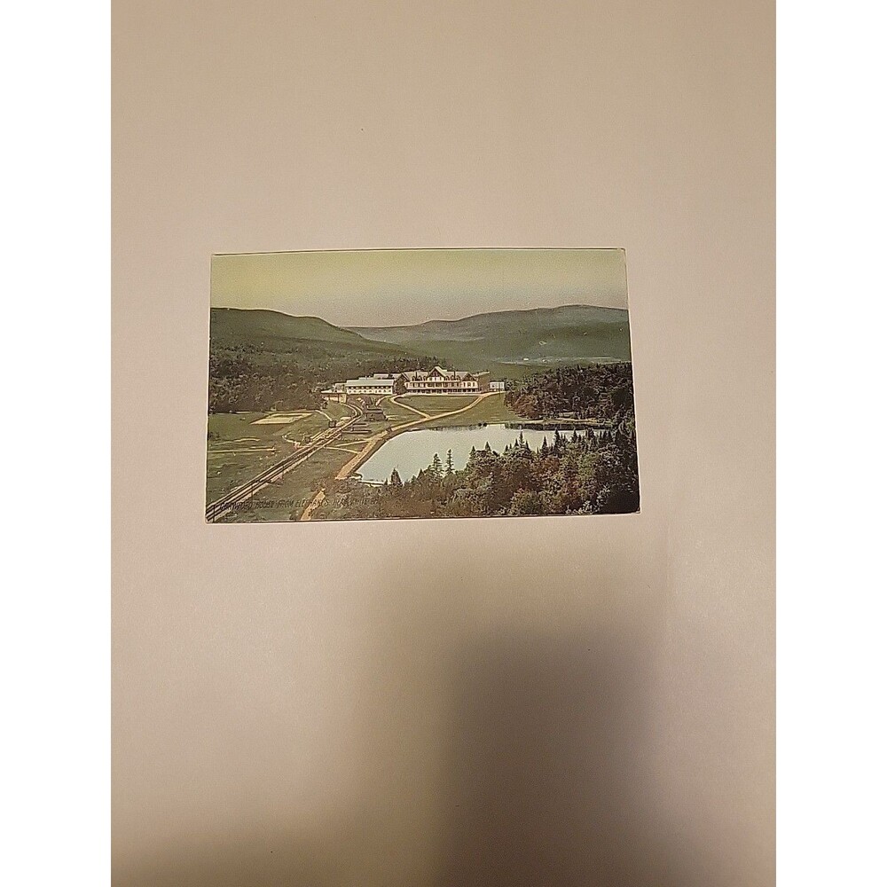The Crawford House from Elephant's Head, White Mtns, N.H., Vtg Germany 1 Cent